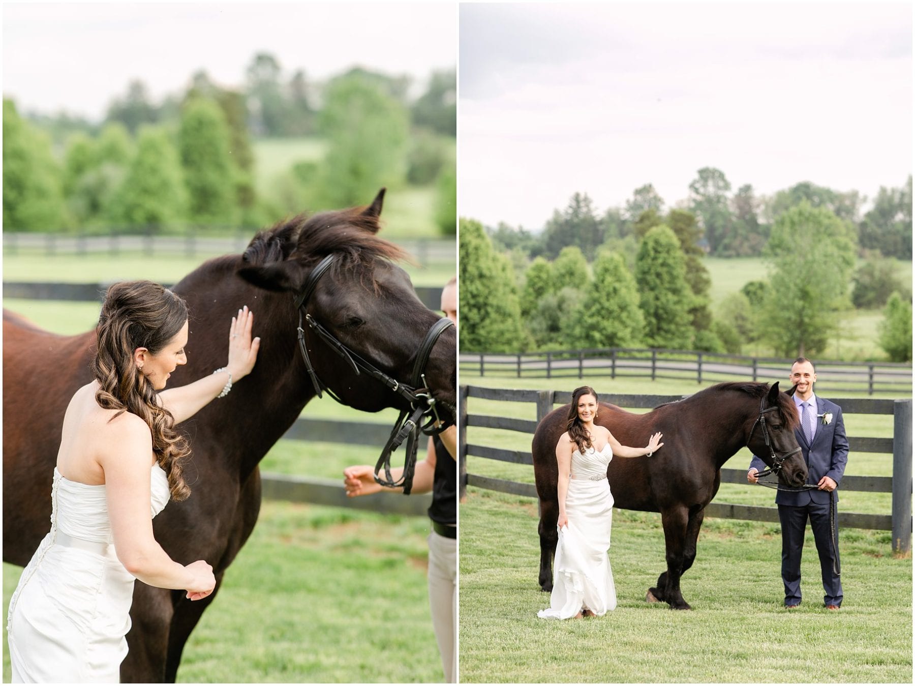 Salamander Resort Wedding Leesburg Virginia Wedding Photographer