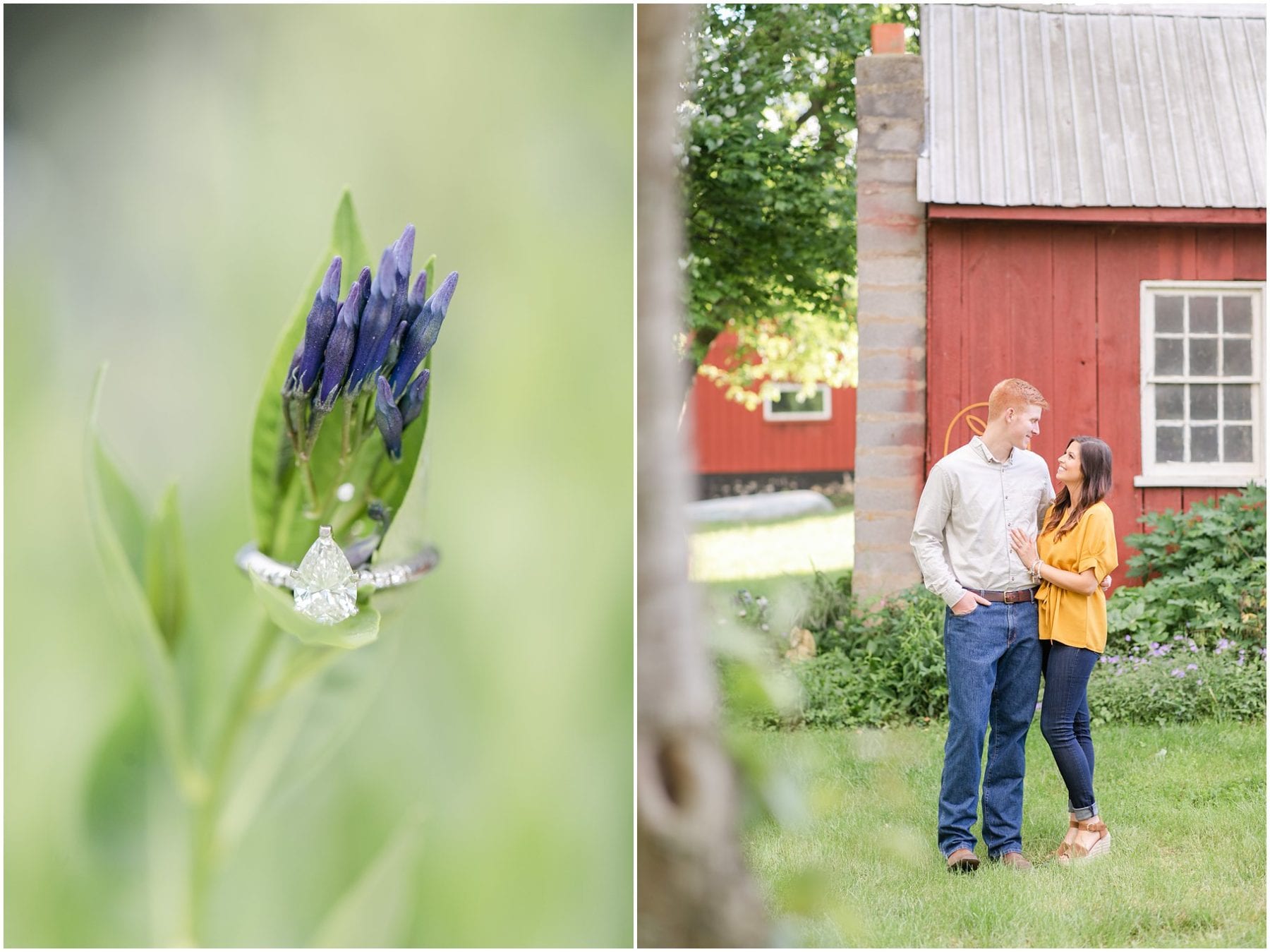 Boyce Virginia Farm Engagement Session